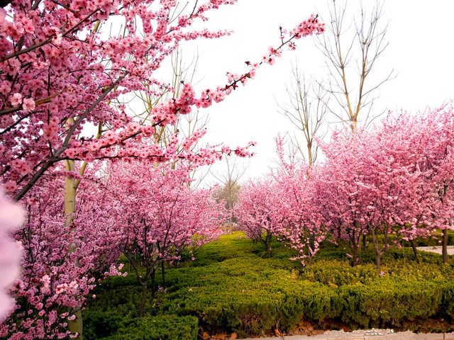 Cii-TFi-WGKIOXhNAAaJ3USMX0IAAILlgNlVPcABon1358_w64